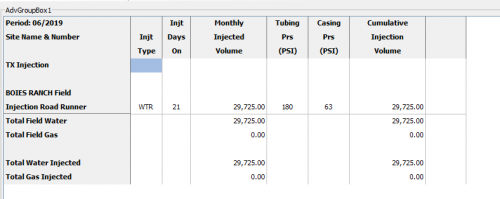 InsightX2 - Monthly Reports - Injection Report.png